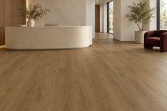 Ambiente 3 · SPC Cedro