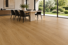 Ambiente 2 · SPC Roble